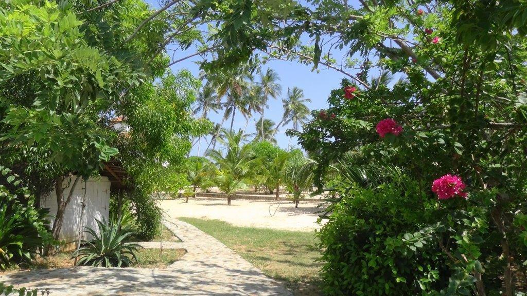 Tropical Garden Lägenhet Tangalle Rum bild